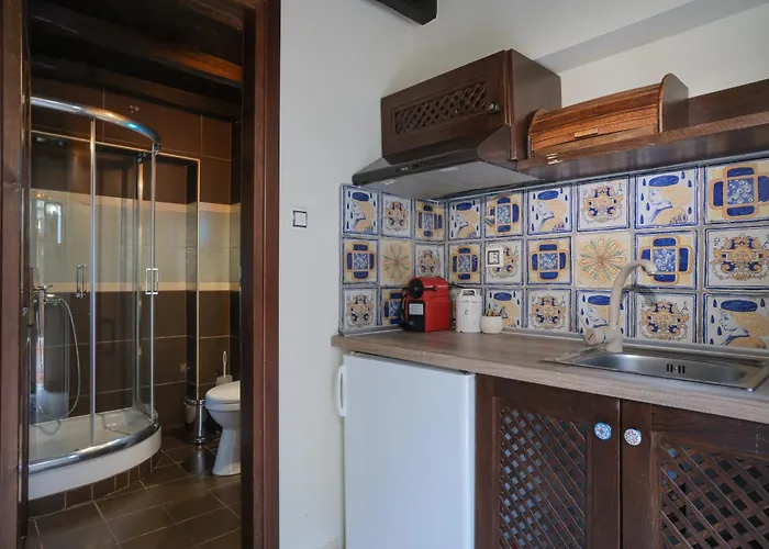 Pindos Hotel de apartamente 4*